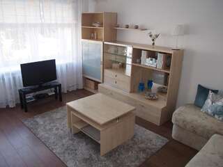 Апартаменты Santariškės Apartment Вильнюс Улучшенные апартаменты-3