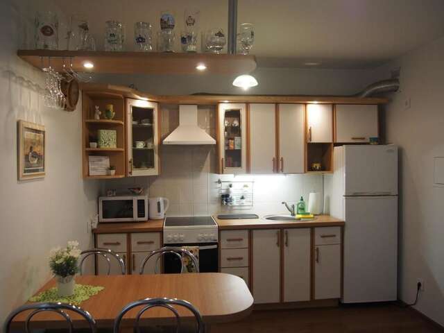 Апартаменты Santariškės Apartment Вильнюс-48